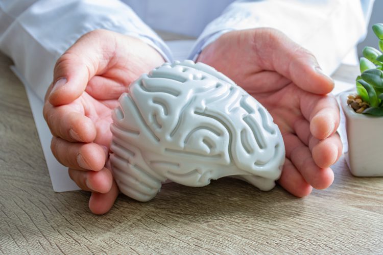 Screening and Diagnosis: Doctor framing a sculpture of a brain on their desk